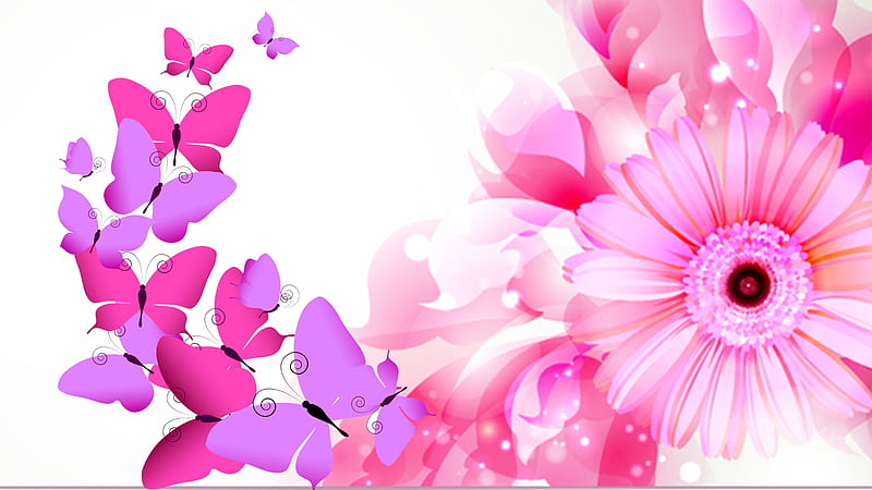 Gerbera Butterfly Bright, butterflies, spring, abstract, floral, summer, flowers, gerbera, nature, blooms, pink, Firefox Persona theme, HD wallpaper