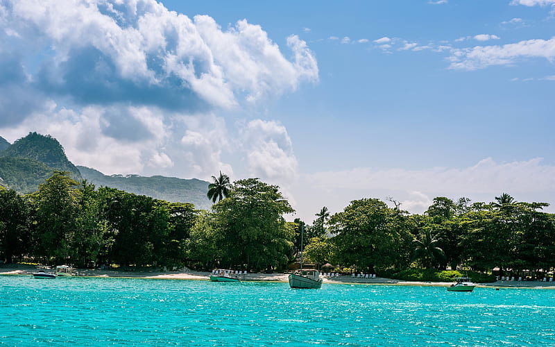Mahe, Seychelles, Indian Ocean, tropical island, beach, palm trees, paradise, HD wallpaper