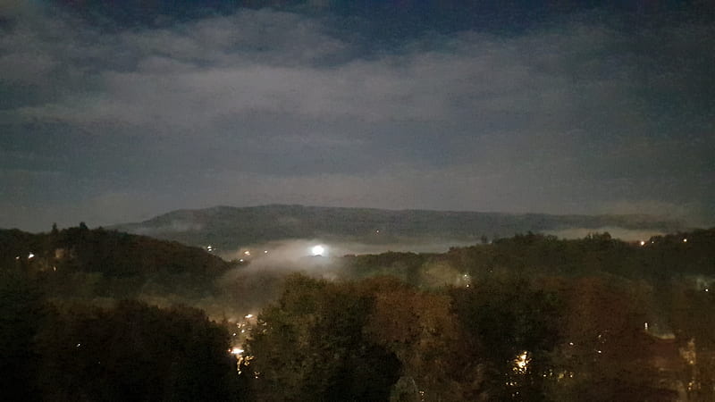 Foggy Autum, fog, lights, lofi, nature, night, trees, HD wallpaper