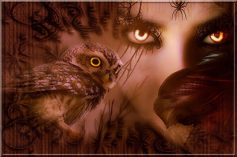 GOLD EYES, owl, female, spider, gold, bird, gothic, face, eyes, feathers, HD wallpaper