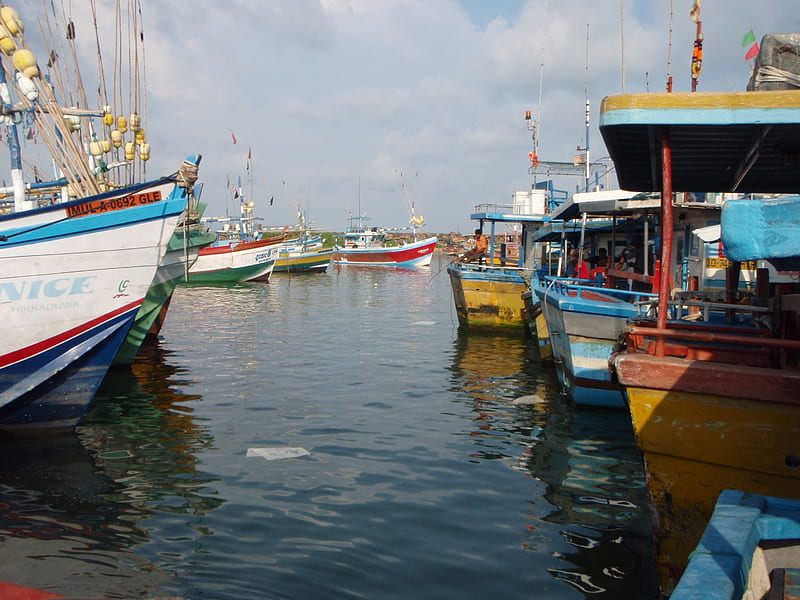 Hikkaduwa Harbour 2, Boats, Fishermen, Sri Lanka, Harbour, HD wallpaper