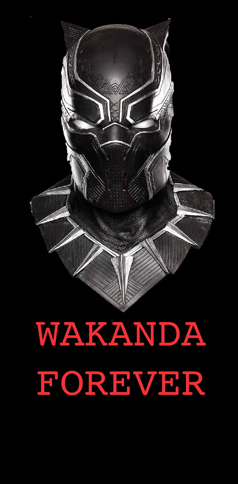 Black Panther Wakanda Forever 2022 Wallpapers  Wallpaper Cave