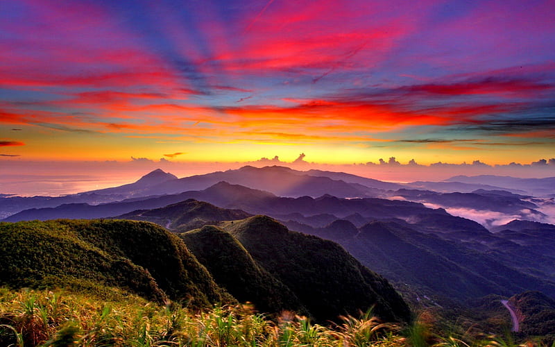 THE MAGIC TOUCH of GOD, mountains, plants, sunset, sky, fog, HD wallpaper