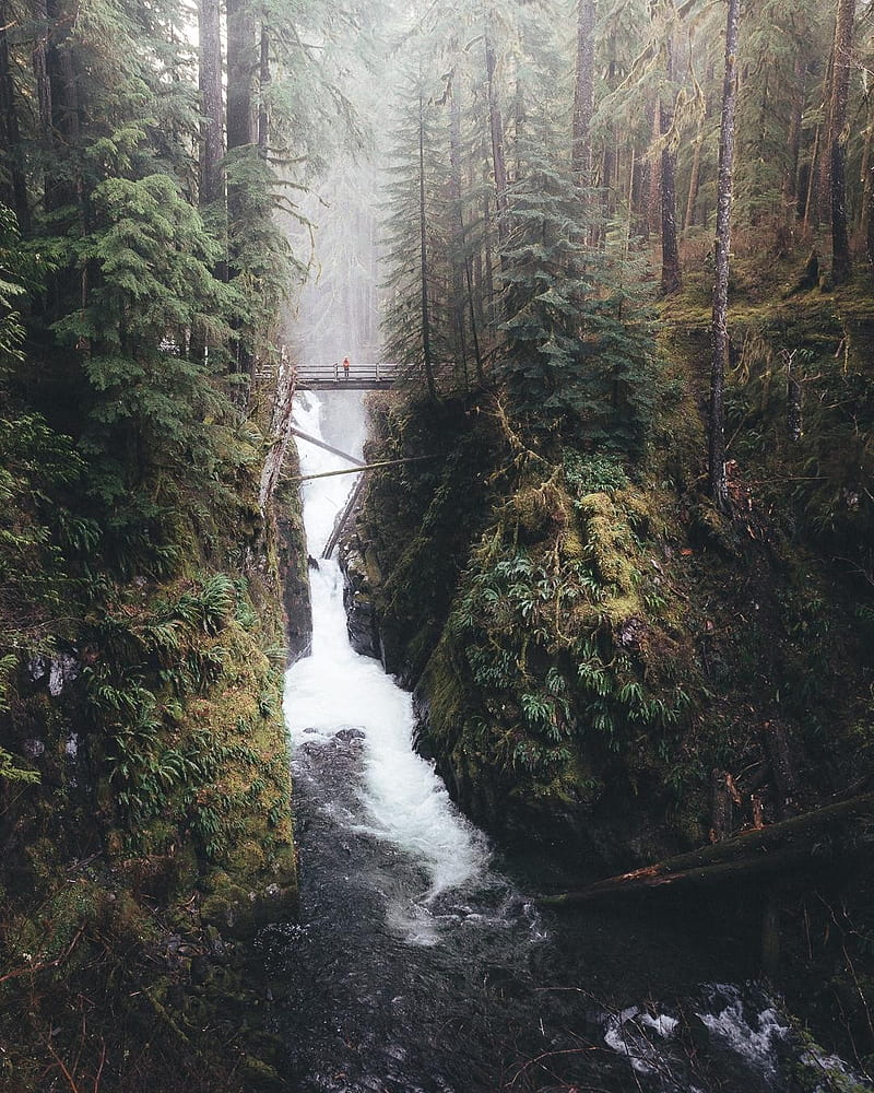 landscape, forest, waterfall, HD phone wallpaper
