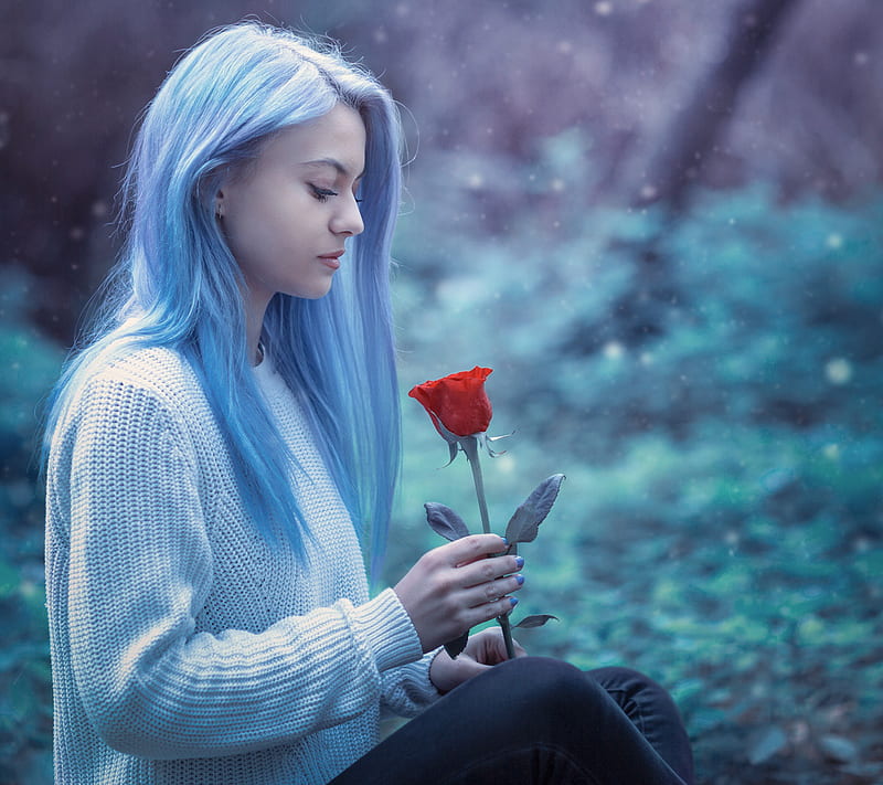 Girl, blue, hair, rose, HD wallpaper