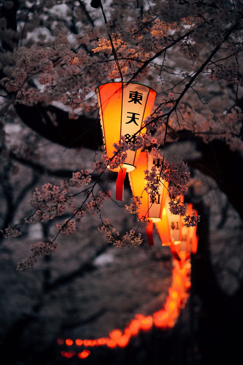 Chinese Lanterns supreme, tornado, HD phone wallpaper