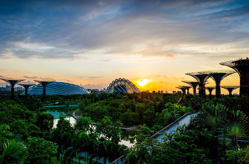Gardens by the Bay, Singapore, buildings, plants, sunset, trees, clouds, sky, HD wallpaper