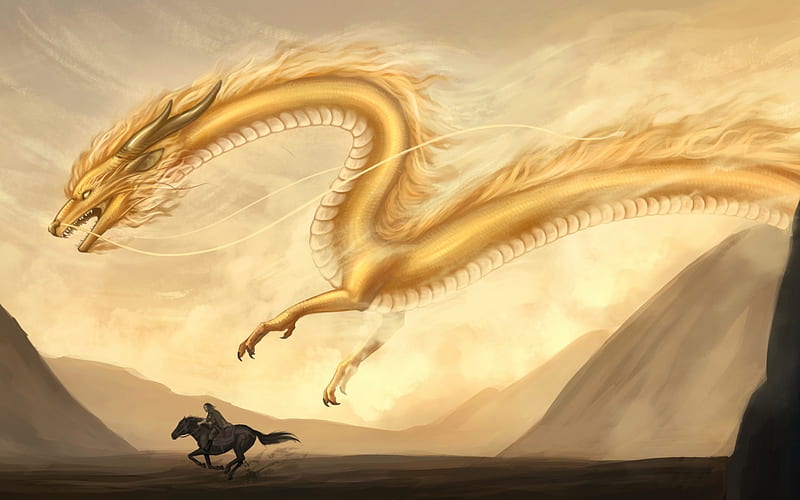 Chinese dragon, fantasy, yellow, horse, knight, HD wallpaper