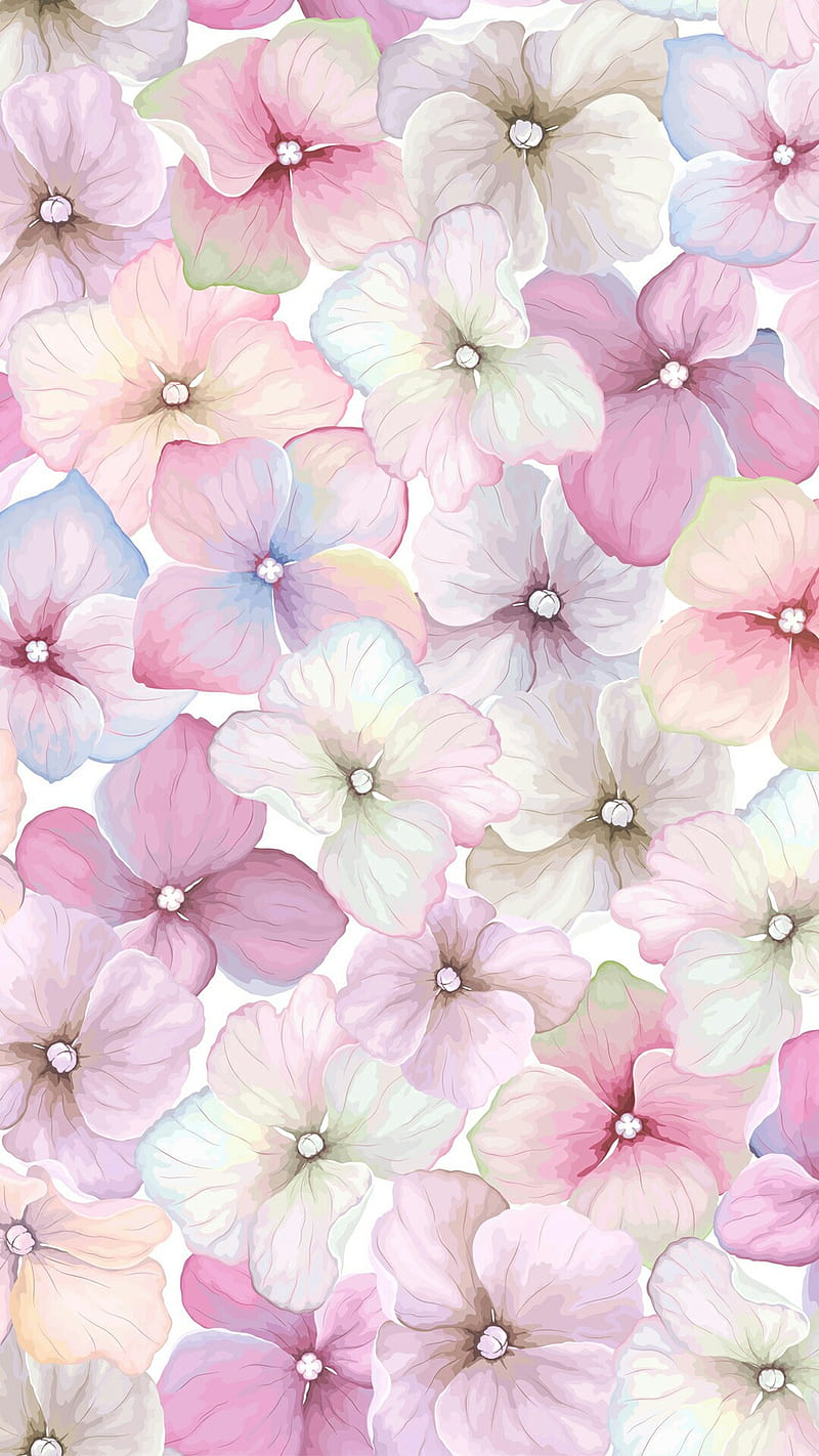 Delicate Flowers, soft, HD phone wallpaper