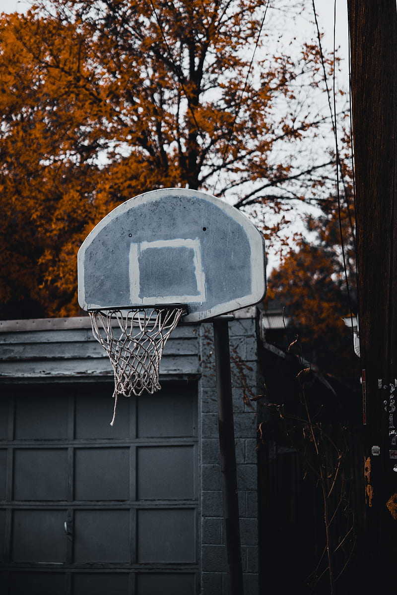 basketball hoop, basketball, basket, sport, HD phone wallpaper