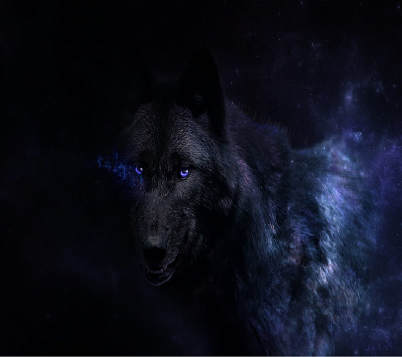 Awesome Wolf, HD wallpaper | Peakpx