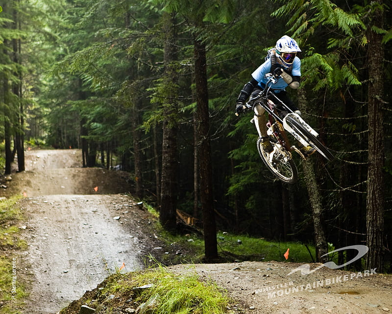 ride_1, forest, dh, fr, ride, trial, mountainbike, jump, downhill, mtb, HD wallpaper