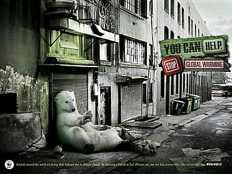 Stop Global Warming, commercial, creative, global warming, polar bear,  fantasy, HD wallpaper | Peakpx
