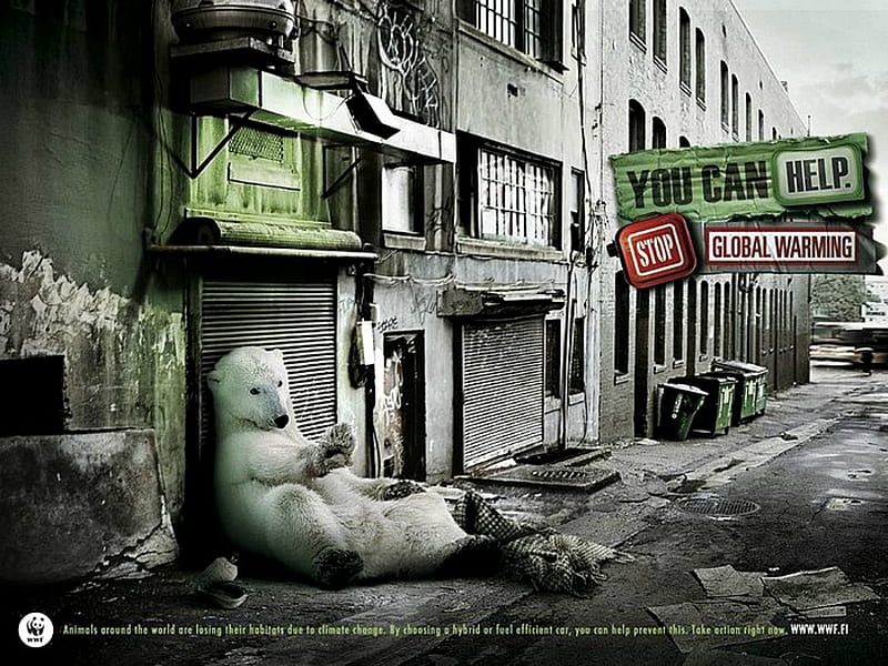 Stop Global Warming, commercial, creative, global warming, polar bear, fantasy, HD wallpaper