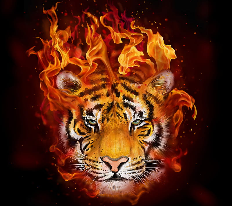 Tiger Paint, abstract, animal, background, burn, fire, painting, HD wallpaper