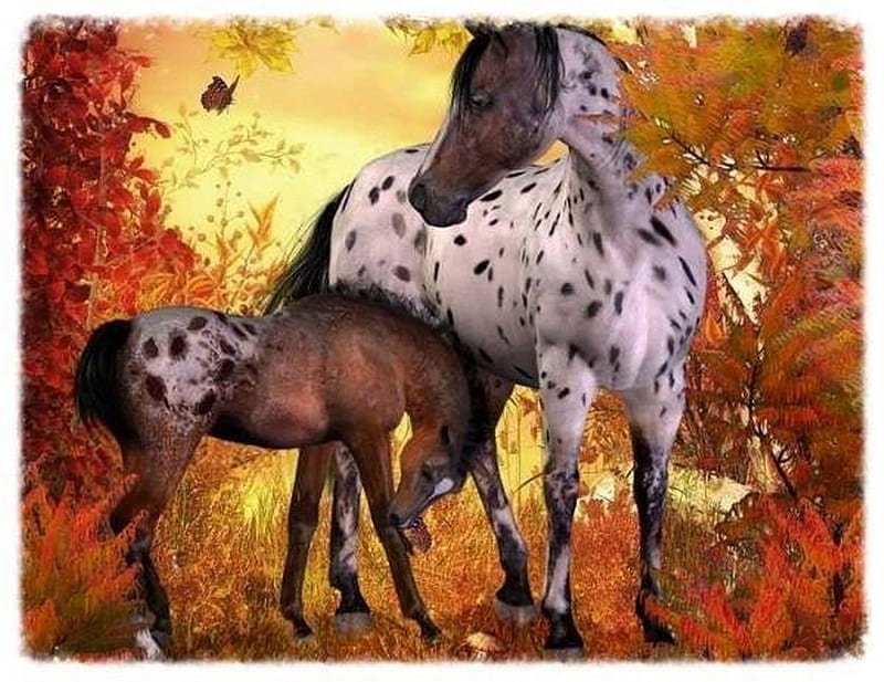 An Appaloosa Mare and Her Foal, colorful, foal, horse, Appaloosa, HD wallpaper