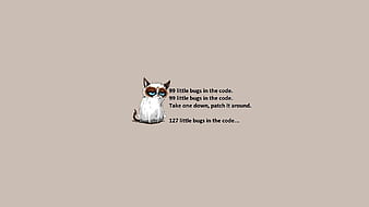 Programming, Technology, Grumpy Cat, HD wallpaper