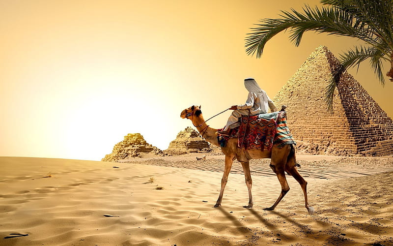 desert, pyramids, Egypt, Bedouin, Cairo, sand, HD wallpaper