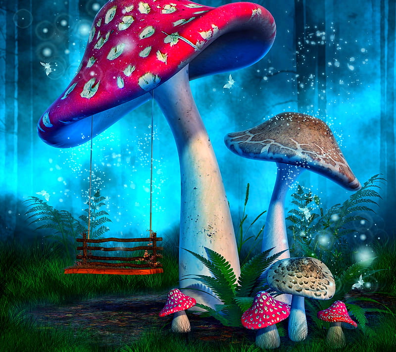 Mushroom, fantasy, psicodelia, shroom, trip, HD wallpaper