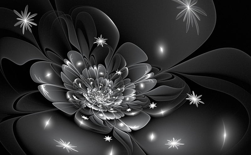 Shiny Winter Blossom, Black, Fractal, White, Blooming, Winter, Flower, HD  wallpaper | Peakpx