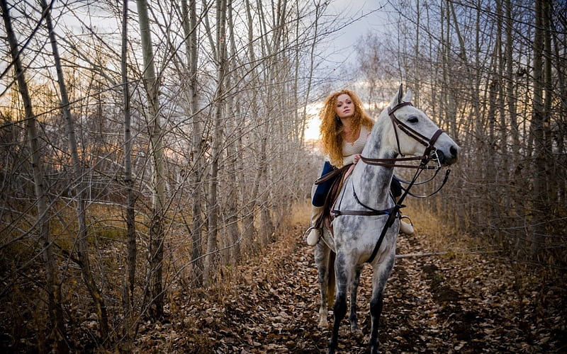 Autumn Ride, Fall, leaves, cowgirl, woods, trees, horse, Autumn, HD ...