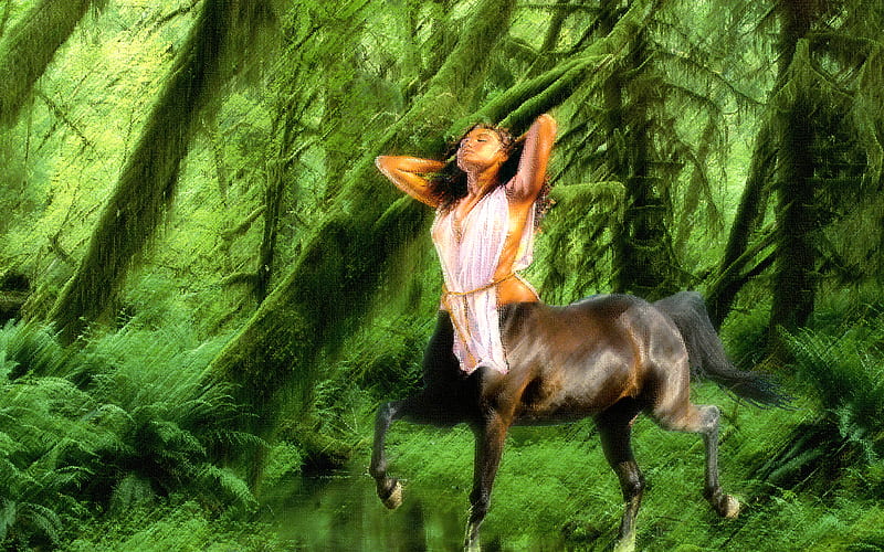 Forest Centaur, forest, fantasy creature, half horse, mythical, centaur, HD wallpaper