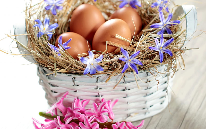 Basket with eggs, Easter, spring, nest, easter decoration, HD wallpaper