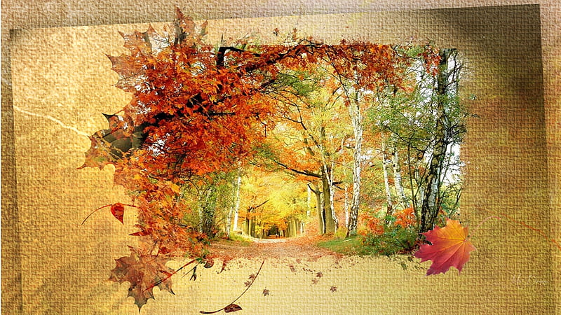 Fall Collage #15, fall, autumn, leaves, trail, path, walk, collage, trees, HD wallpaper
