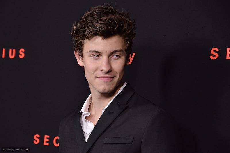 shawn mendes 17, music, red carpet, shawn mendes, HD wallpaper