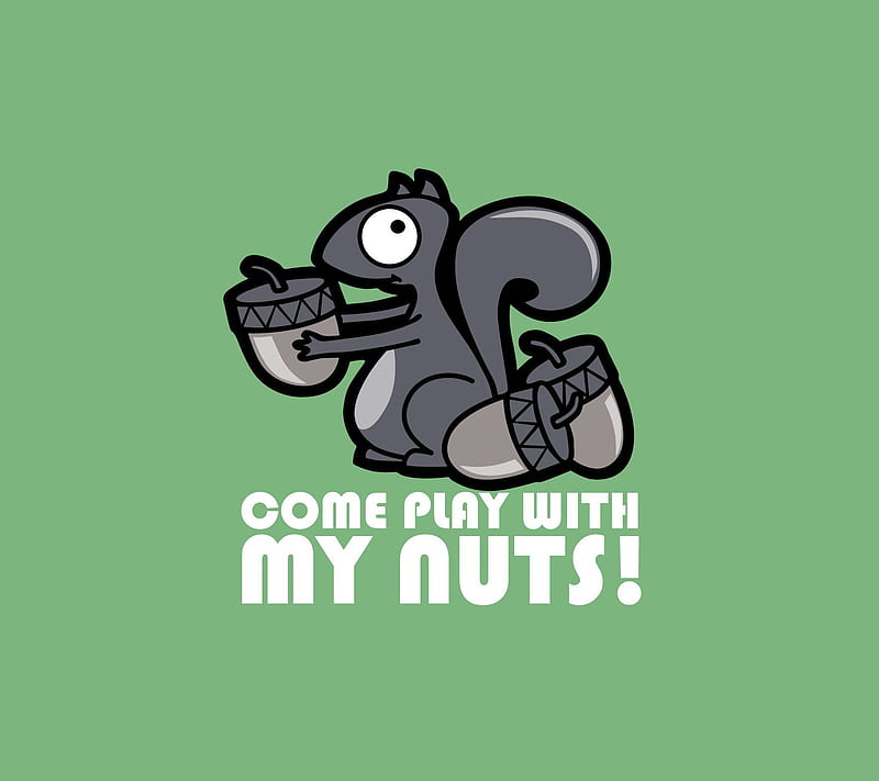 Cool Squirrel, funny, good, nuts, HD wallpaper