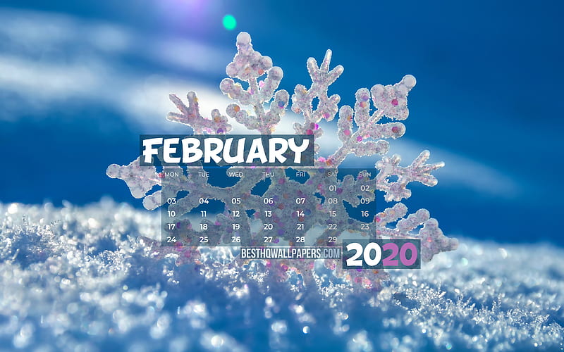 February 2020 Calendar snowflakes, 2020 calendar, winter, February 2020, creative, winter landscape, February 2020 calendar with snowflakes, Calendar February 2020, blue background, 2020 calendars, HD wallpaper