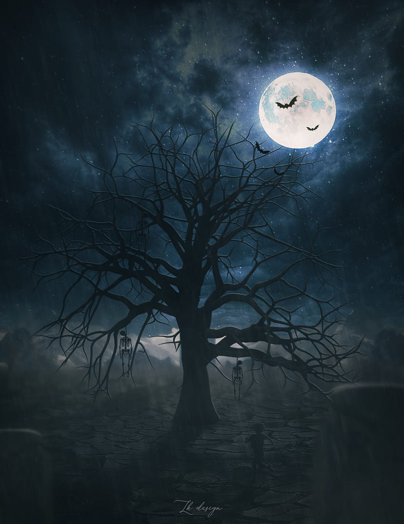 Moonlight, abstract, animated, dark, moon, HD wallpaper