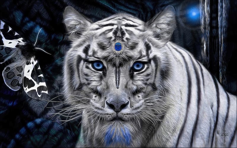 Fantasy, Tiger, White Tiger, Blue Eyes, Stare, Fantasy Animals, HD ...