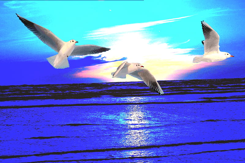 Birds over a deep blue sea, cloud, birds, lord, sunset, peace, waves, clouds, sea, jesus, bird, gentle, sunrise, god, blue, HD wallpaper