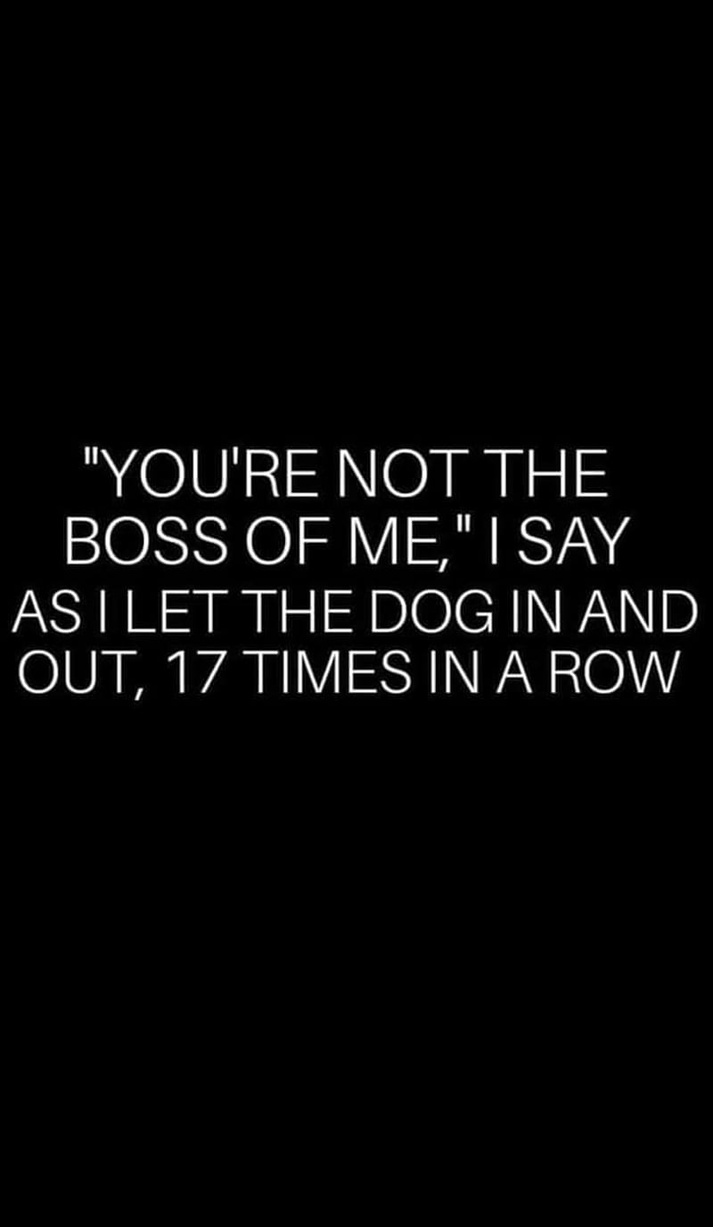 Boss Club Gentle Men Original Phone Quotes Sarcasm Touch Yourself Hd Mobile Wallpaper Peakpx