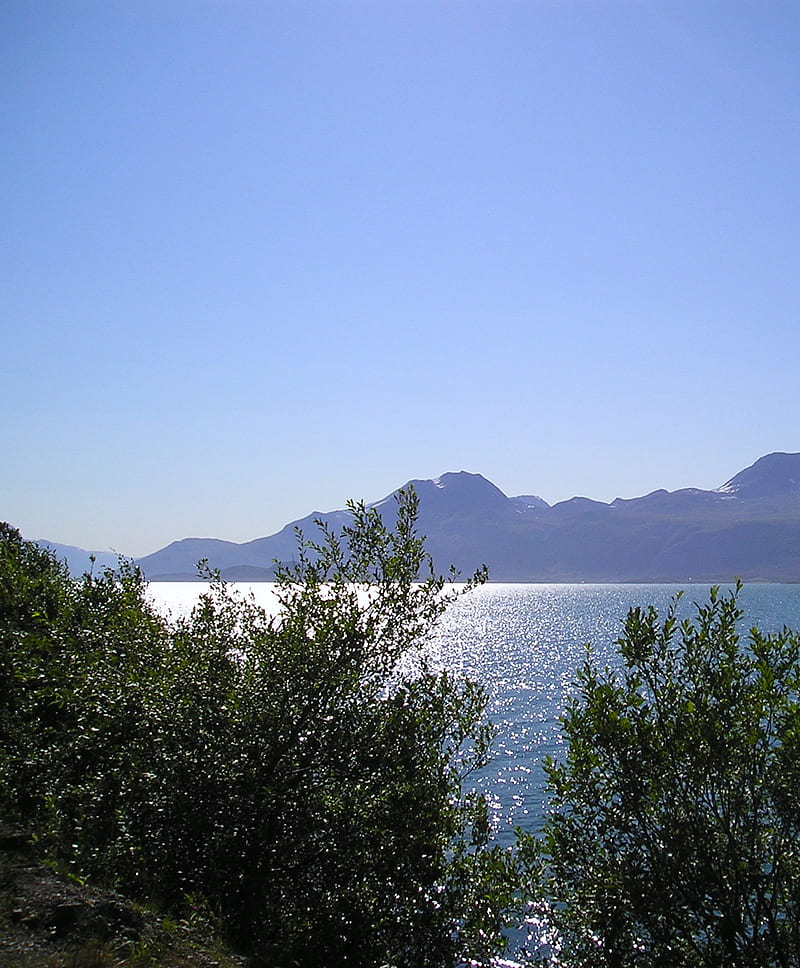 Norwegian Summer, Wanderlust, blue, fjord, norway, sea, travel, tree, water, HD phone wallpaper