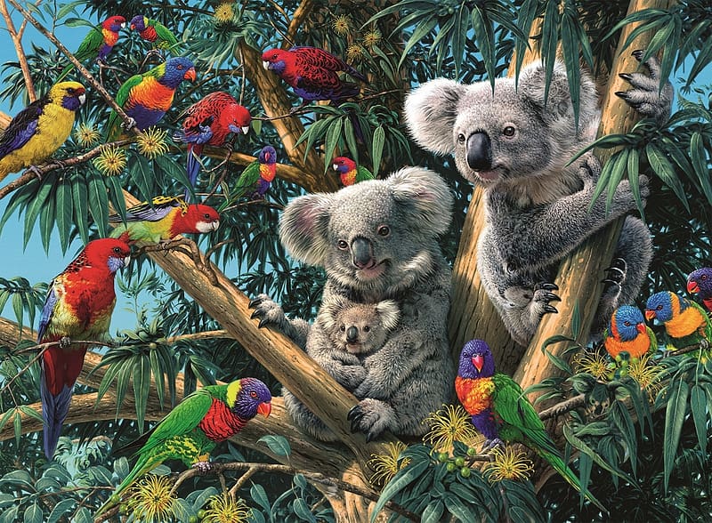 Koala bears and parrots, parrot, animal, bird, art, exotic, tree, bear, koala, painting, pictura, fruit, pasari, HD wallpaper