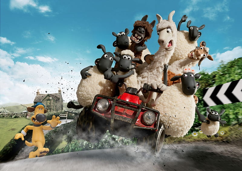 Shaun the Sheep, car, tv show, crazy, oi, funny, HD wallpaper