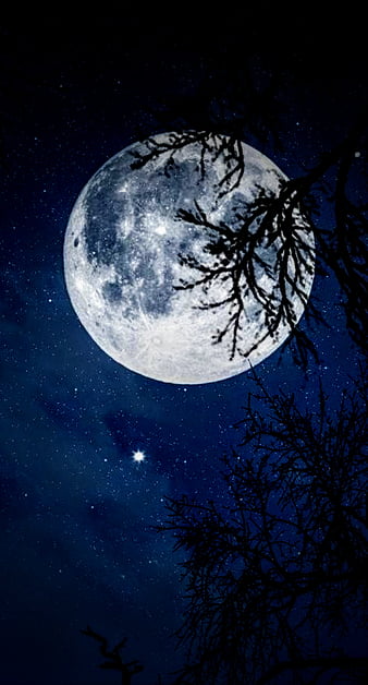 gibbous moon iPhone Wallpapers Free Download