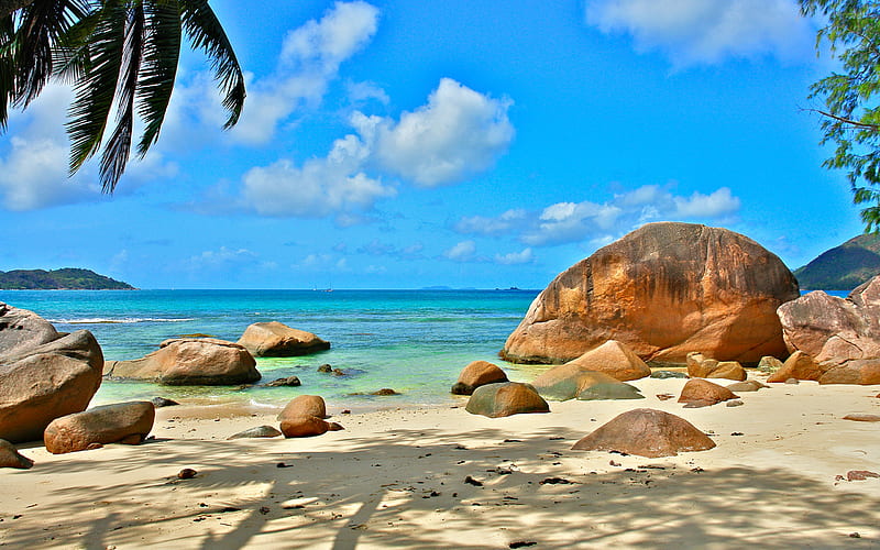 Seychelles, Indian Ocean, beach, coast, summer travel, tropical islands, HD wallpaper