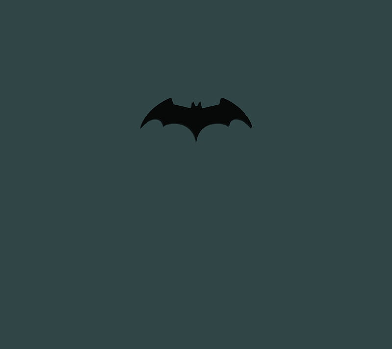 Batman Begins, bat, black, black bat, man, HD wallpaper