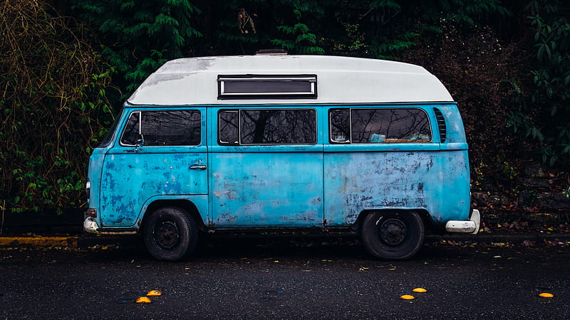 blue and white van parked near green tree, HD wallpaper
