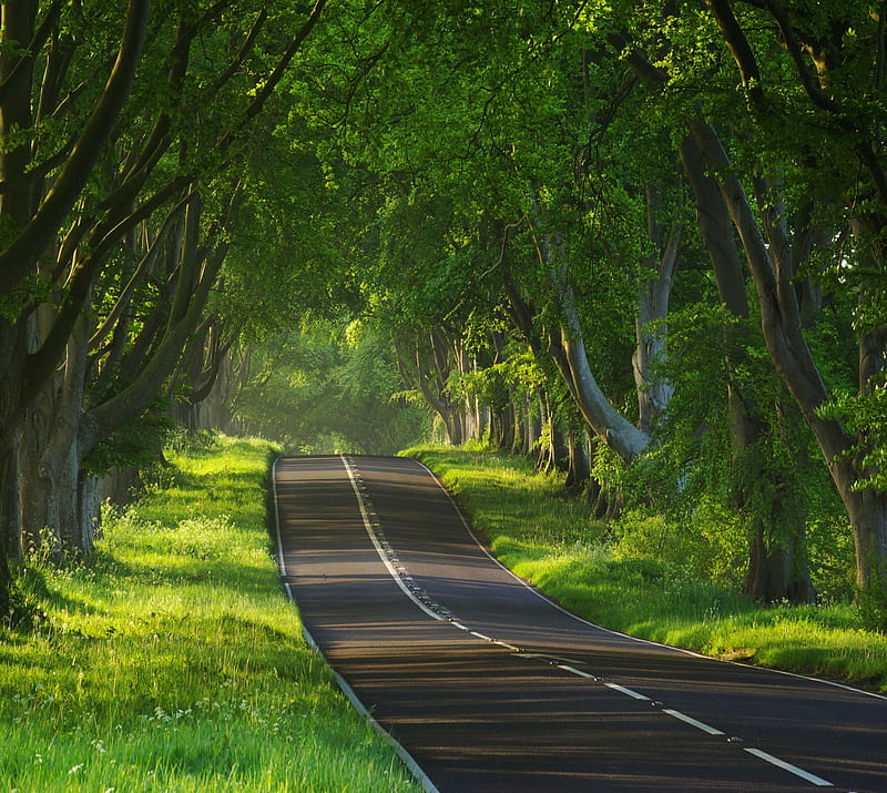 Road, HD wallpaper | Peakpx