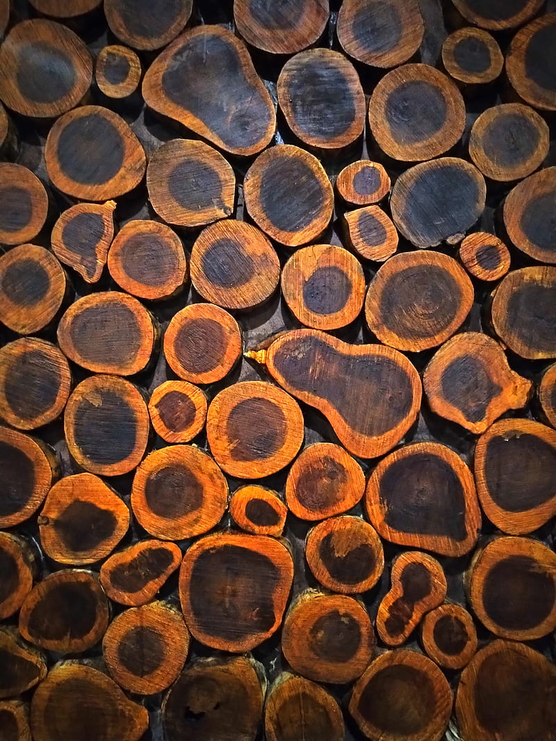 Wood, 2019, interior design, natural, pattern, section, HD phone wallpaper