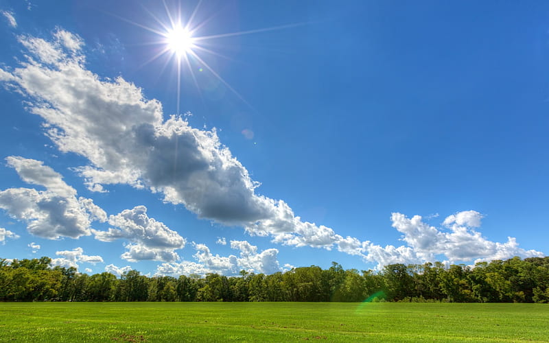 Free: Sun, Rays, Light, Summer, Sunlight - Weather Forecast
