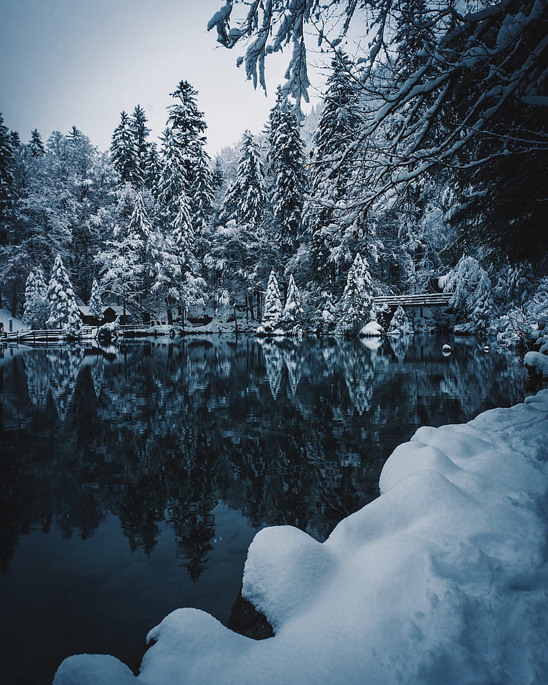 lake, snow, branches, winter, snowy, HD phone wallpaper