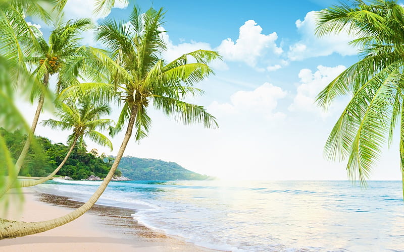 Maldives, Palm trees, Para, Paradise, Waves, Ocean, Island, HD wallpaper