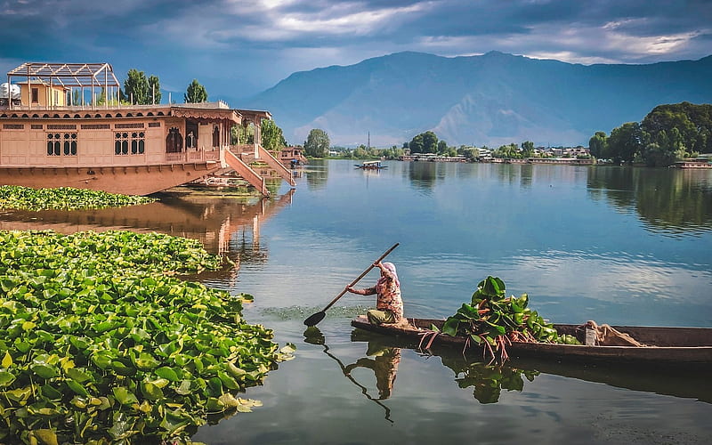 Kashmir, India, boat, water, houseboat, India, HD wallpaper