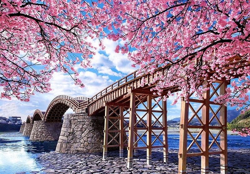 Bridge in Spring, blossoms, tree, river, cherry, HD wallpaper