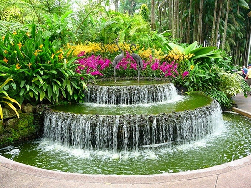 HD wallpaper: Beautiful Summer Garden, water, plant, tree, lake, reflection  | Wallpaper Flare